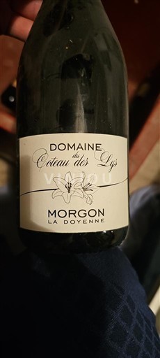 Beaujolais Morgon Domaine Coteau des Lys La Doyenne 2016