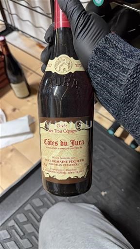 Жура Кот-де-Жюра Domaine Pêcher des Trois Cépages 2012