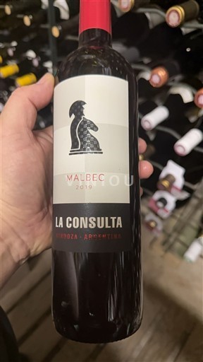Mendoza La Consulta 2019