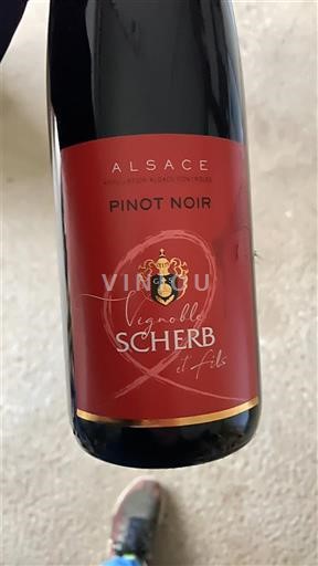Alsace Vignoble Scherb et Fils Không niên vụ