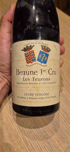 Bourgogne Beaune Premier Cru Lycée Viticole de Beaune Les Teurons 2009