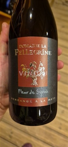 Alpe in reke Rona Ronski grici Domaine La Pellegrine Fleur de Syrah 2022
