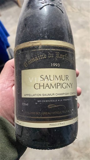 Loire-dalen Saumur-Champigny Domaine Rocheville 1993