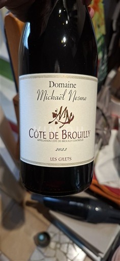 Beaujolais Côte-de-brouilly Domaine Mickaël Nesme Les Gilets 2023
