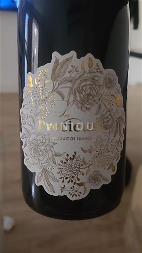 Sydväst Sudvästra Frankrike Précieuse 2022