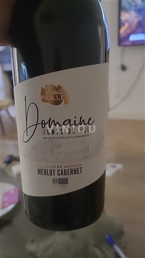 Bordeaux Domaine Monts du Roi Merlot Cabernet 2020
