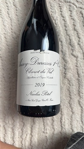 Burgundija Auxey-Duresses Premier Cru Nicolas Potel Climat du Val 2019