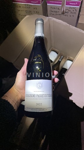 Bourgogne Bourgogne-passetoutgrain Naudin Tiercin 2022