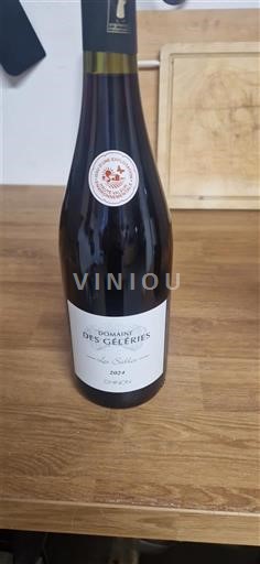 Vallée de la Loire Chinon Domaine Des Geleries 2022