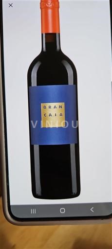 Toscane Brancaia Il Blu 2021