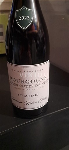Bourgogne Ospecificerad Domaine Robert Bizot Les Coteaux 2023