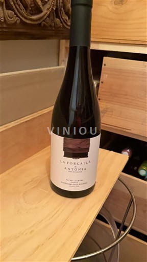 Valenciaanse Gemeenschap Valencia La Forcalla Antònia 2022