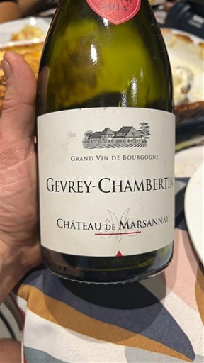 Bourgondië Gevrey-Chambertin Château Marsannay Niet-geïntegreerd