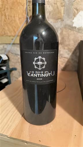 Bordeaux Blaye-Côtes-de-Bordeaux Les Tours de Cantinot 2009