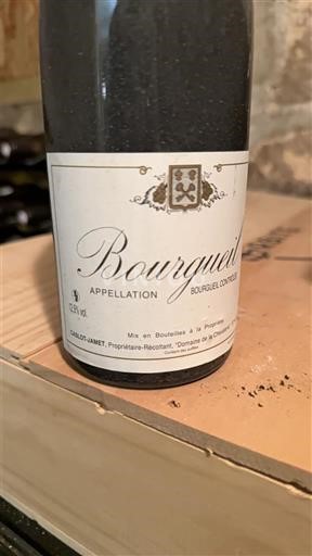 Loiren laakso Bourgueil Domaine La Donneterie 2005
