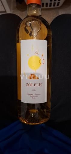 Sydväst Côtes de Gascogne Solelh 2024