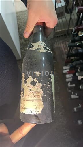 Burgundi Määrittelemätön Moillard 1989