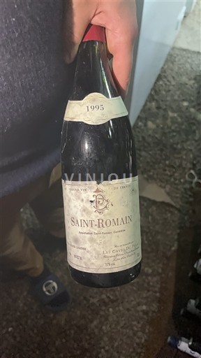 Burgund Saint-Romain Le Caveau des Arches 1995