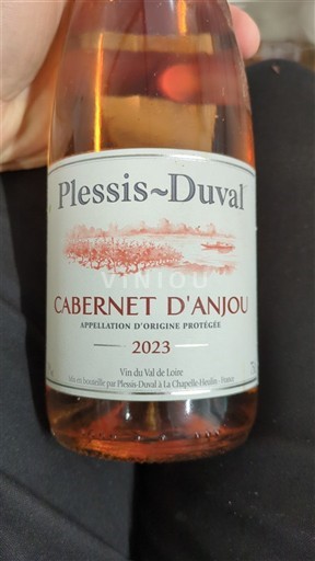 Valle del Loira Cabernet-d'Anjou Plessis-Duval 2023