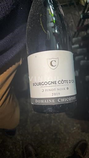 Bourgondië Bourgogne Côte d'Or Domaine Chicotot Pinot Noir 2019