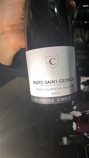Bourgondië Nuits-saint-georges Domaine Chicotot Papillons de Nuits 2021