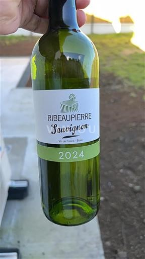 Bordeaux Not Specified Ribeaupierre 2024