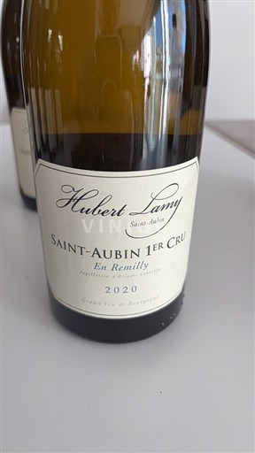 Borgoña San Aubin Premier Cru Domaine Hubert Lamy En remilly 2020