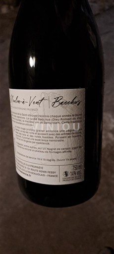 Beaujolais Moulin-à-vent Maison Henry Fessy Rochegrès Neročník