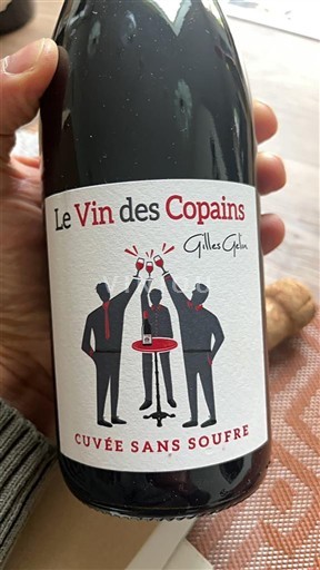 Beaujolais Beaujolais Villages Gilles Gelin Le Vin des Copains - Sans Soufre 2023