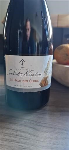 Thung lũng sông Loire Fiefs Vendéens Domaine Saint-Nicolas Le Haut des Clous Không niên vụ