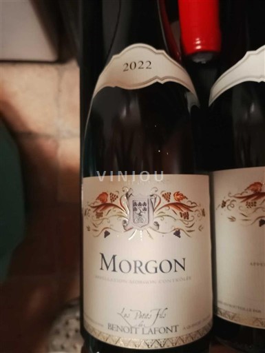 Beaujolais Morgon Benoît Lafont Les Petits Fils 2022