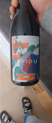 Beaujolais Beaujolais Villages Les Terrières Le Meilleur de Nous 2022