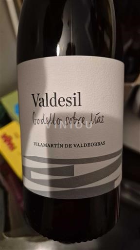 Galicië Valdeorras Valdesil Godello sobre lías 2024