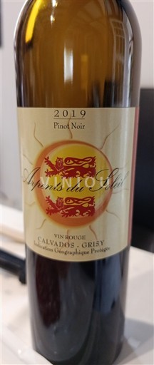 Normandie Không được chỉ định Arpents du Soleil Pinot Noir 2019