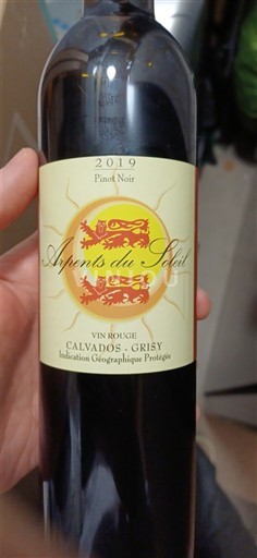 Normandie Ikke spesifisert Arpents du Soleil Pinot Noir 2019