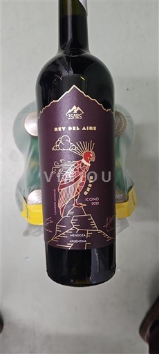 Mendoza 55 Ríos Rey del Aire Ícono 2022