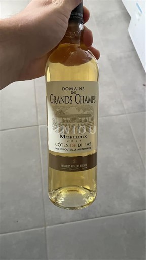 Sydväst Côtes-de-duras Domaine Des Grands Champs 2024