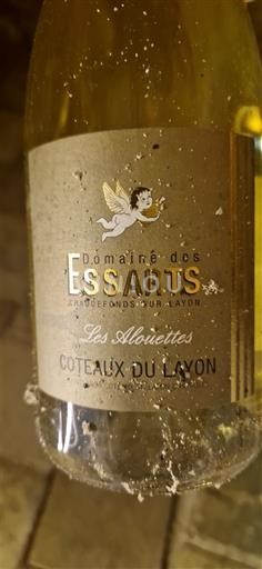 Dolina Loare Coteaux-du-Layon Domaine Des Essarts Les Alouettes Neleten.