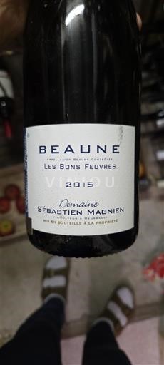 Burgundija Beaune Domaine Sébastien Magnien Les Bons Feuvres 2015