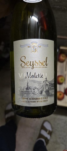 Savoie og Bugey Seyssel Domaine Bernard & Fils Molette 2022