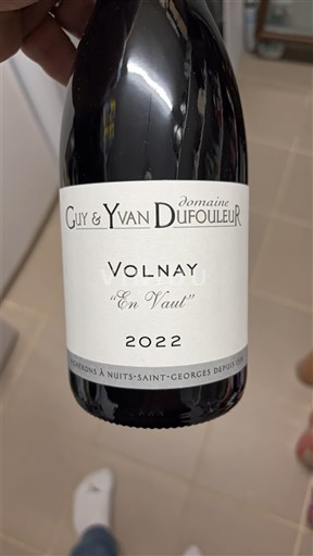 Burgundy Volnay Domaine Guy & Yvan Dufouleur En Vaut 2022