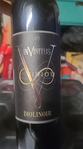 San Galo St. Gallen DOP Welti weine Diolinoir 2022