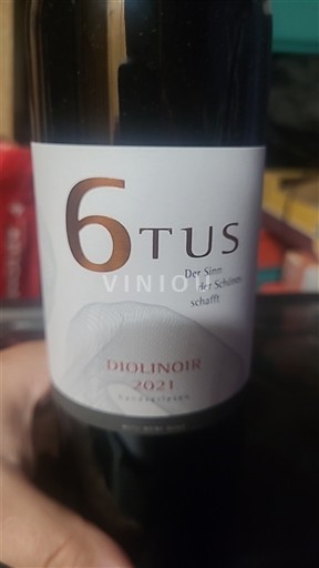 San Galo St. Gallen DOP Welti weine Diolinoir 6tus 2021