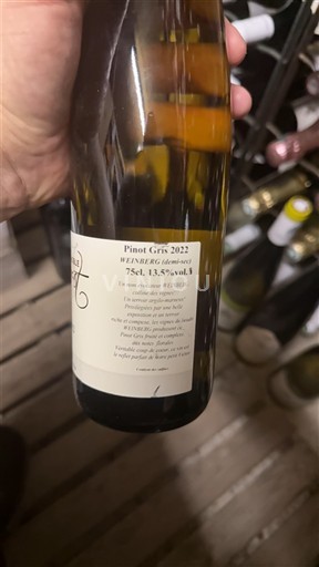 Elzas Pinot gris Vignoble arbogast Weinberg Victor 2022