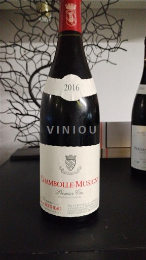 Borgoña Chambolle-Musigny Premier Cru Bertheau Premier Cru 2016