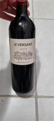 Bordeaux Castillon-côtes-de-bordeaux Le Versant 2019