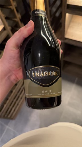 Mendoza Trapiche Ohne Jahrgang