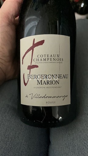 Šampanja Coteaux Champenois Bergeronneau Marion à Ville-Dommange Neleten.