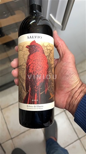Castille et León Ribera del Duero Salvio 2023