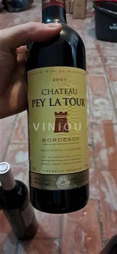 Bordeaux Château Pey La Tour 2005
